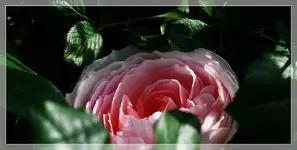 Heritage.webp