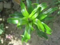 002.webp