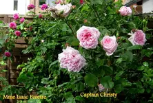 IMG_4773-001.webp