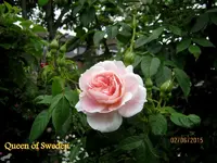 IMG_4803.webp