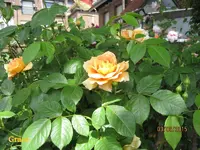IMG_4840.webp