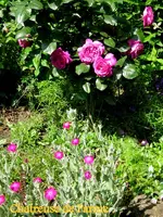 IMG_4873.webp