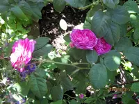 IMG_4920.webp