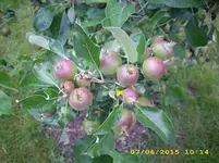 DSCI2821.webp