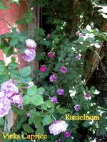 IMG_4859.JPG
