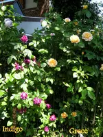 IMG_4861.webp