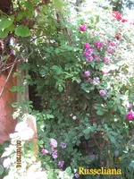 IMG_4869.webp