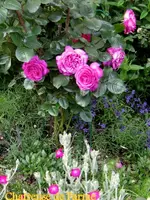 IMG_4905.webp IMG_4905.webp