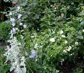 IMG_4906-001.webp