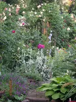 IMG_4911.webp