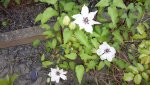 20150607_182856.jpg