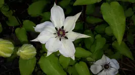 20150607_182910.jpg