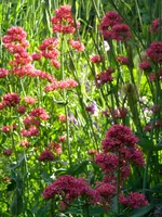 DSCN8965.webp
