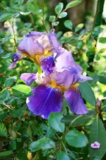 DSC_4608.jpg