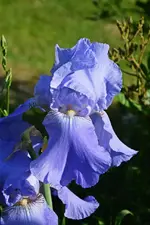 DSC_4611.webp