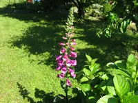IMG_4164.webp