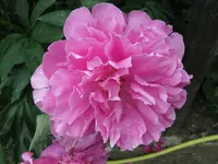 IMG_4171.webp
