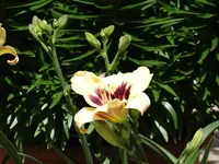DSC01722.webp