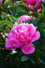 DSC_4610.webp
