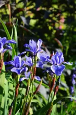 DSC_4612.webp