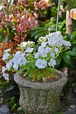 DSC_4616.webp
