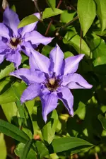 DSC_4641.webp