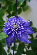 DSC_4644.webp
