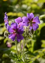 DSC_4640.webp