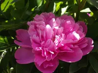 20150607 004.webp