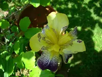 DSCI3424.webp