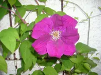 DSCI3429.webp