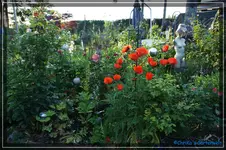 comp_DSC03698.webp