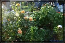 comp_DSC03699.webp