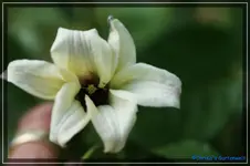 comp_DSC03696.webp