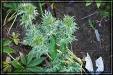 comp_DSC03705.webp