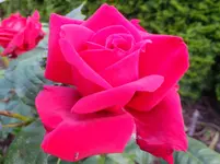 DSCF9114.webp
