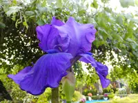 DSCF9097.webp