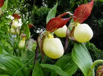 DSCF9058.webp