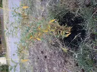 20150607_205017.webp