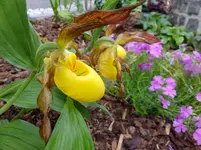 DSCF9062.webp