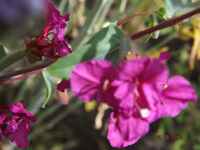 DSCF4089l.webp