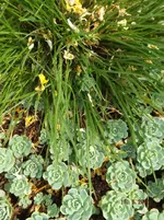 DSCF6085l.webp