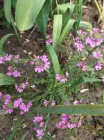 DSCF6117l.webp