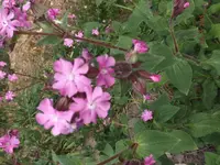 DSCF6214.webp