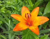 DSCF1383 (2).webp