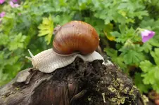 DSCF1380.webp