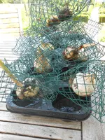 DSCN2493.webp