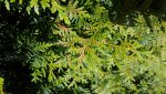 20150607_145437.jpg