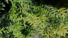 20150607_145449.jpg