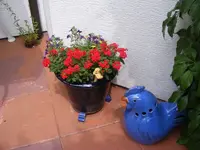 Avatar.webp